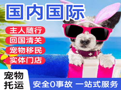 台州路桥航空快运国际宠物托运 【国